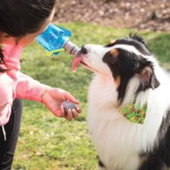 Vapur Ez Lick Portable Dog Water Anti-Bottle 700ml Water -Military1st Shop Vapur Ez Lick Portable Dog Water Bottle 700ml Water 5 1200x1200